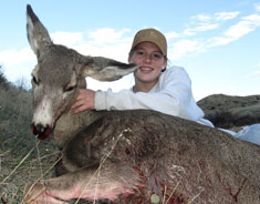 Mule Deer 2009