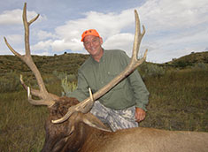 Big Buck Horn Elk 2013