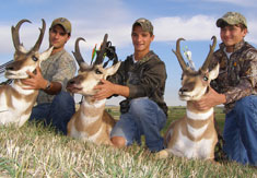 Alfano Antelope 2009