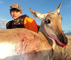 Kolo 2012 Antelope